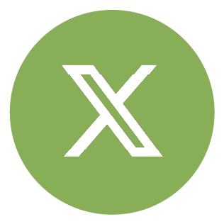 X Icon